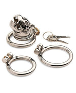 Master Series Caged Cougar Stainless Steel Locking Chastity Cage - Silver