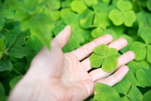 Forget 4 Leaf Clovers, Here are 4 New Spots for you to get Lucky In