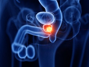 Prostate 101: What It Is, Why It Matters, and How to Massage It