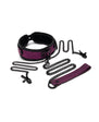 WhipSmart Dragon's Lair Collar, Leash & Nipple Clips Set