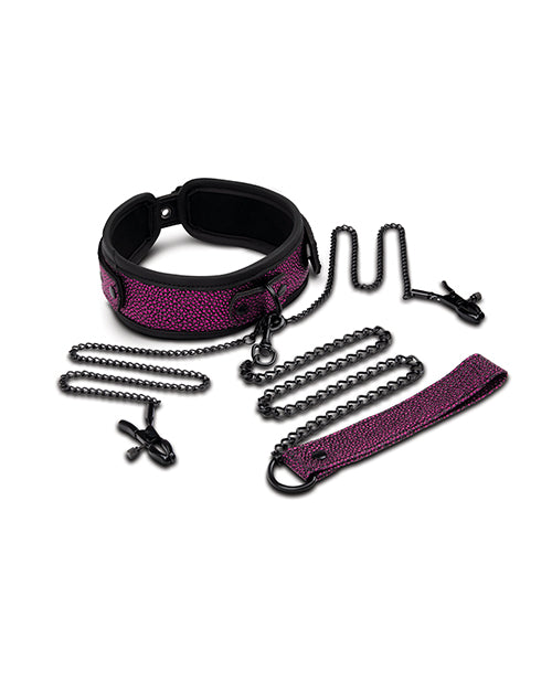 WhipSmart Dragon's Lair Collar, Leash & Nipple Clips Set