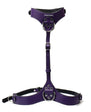 Punishment Body Harness - Purple/Silver