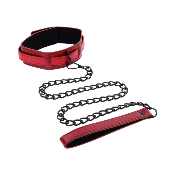 SS Ex's & Oh's Collar & Leash