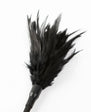 SEI MIO Tickled Kink Soft Mini Feather Tickler