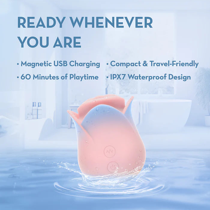 Blush Collection Kissing Rose Pink