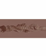 Xkin Raw The Grip Stroker Brown