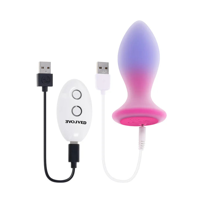 EV Paradise Plug with Remote