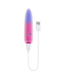 EV Paradise Bullet