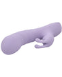 Adam & Eve Violet Vixen G-Spot Rabbit Vibe