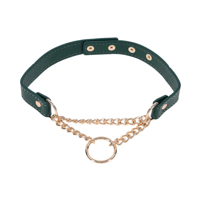 Sportsheets Sex & Mischief Indica Day Collar