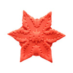 Cute Little F*ckers Starsi Coral