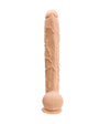 Dick Rambone