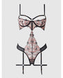 Nova Lace Teddy w/Garters Blk Queen Sizes