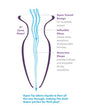 Anal Fantasy Elite Collection Beginners Anal Glass Gaper - Clear