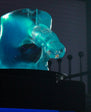 Play Wiv Me Huge Penis Ice Luge