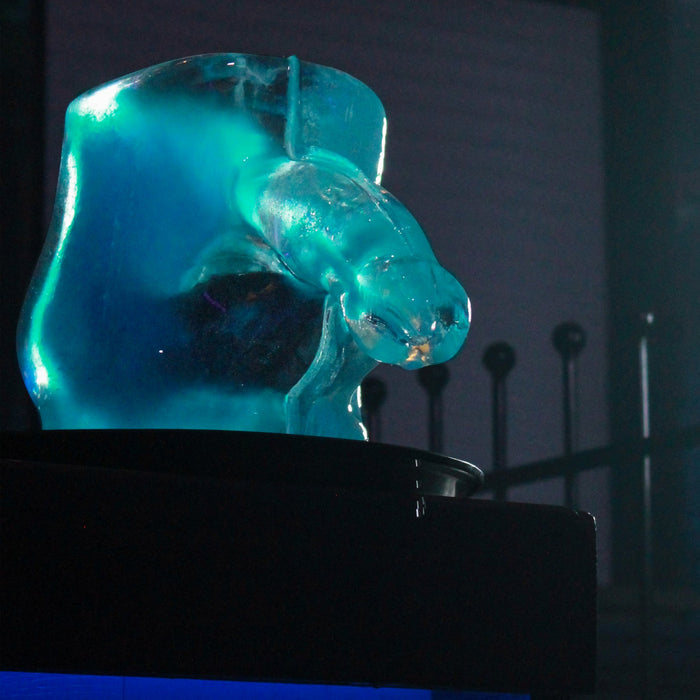 Play Wiv Me Huge Penis Ice Luge