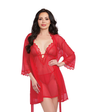 Mesh Chemise & Robe Set with Matching G-String - XL
