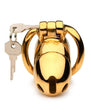 Master Series - Midas 18K Gold-Plated Locking Chastity Cage