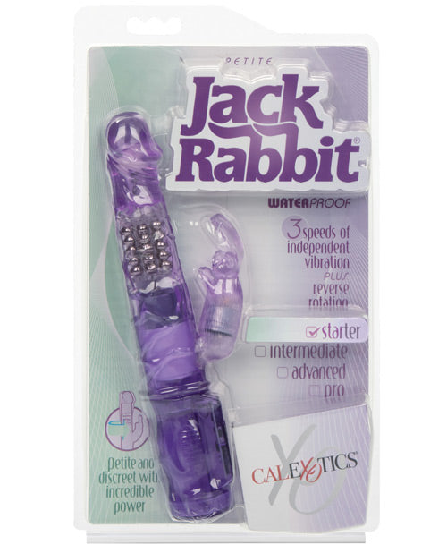 Jack Rabbits Petite
