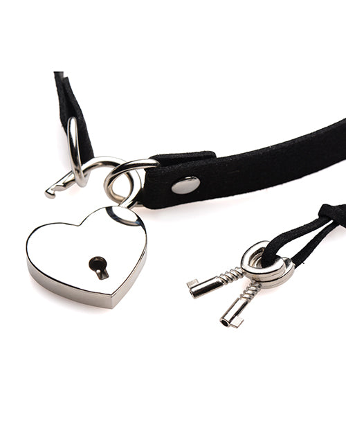 Master Series Lock-It Heart Lock and Key Choker